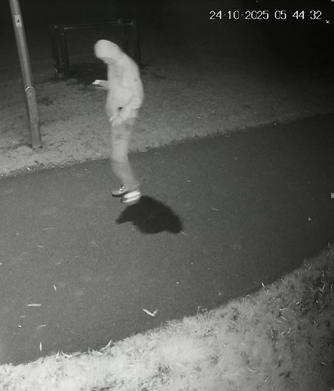 A CCTV still from the Morfa area of Prestatyn.
