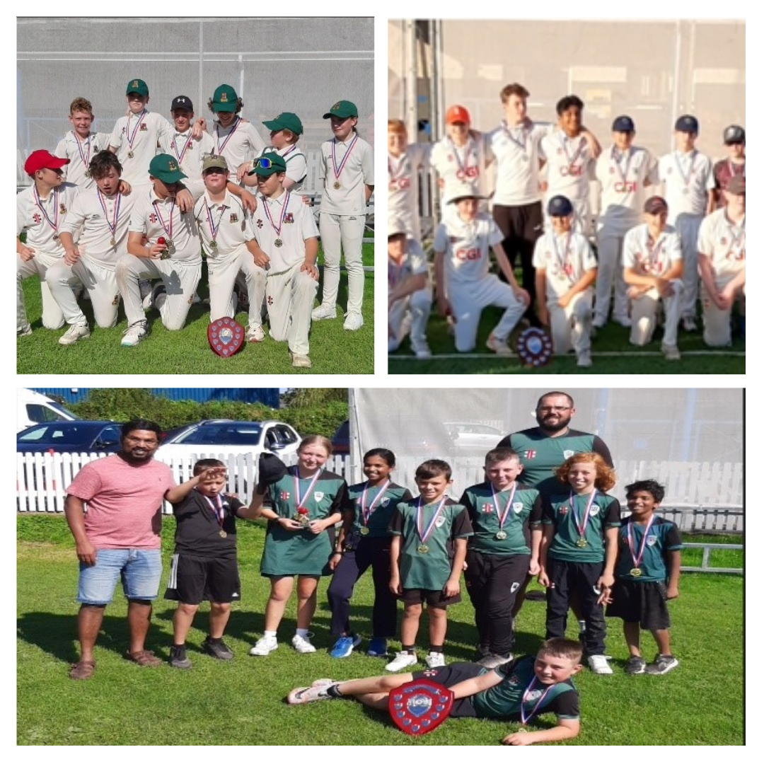 winning cricket teams