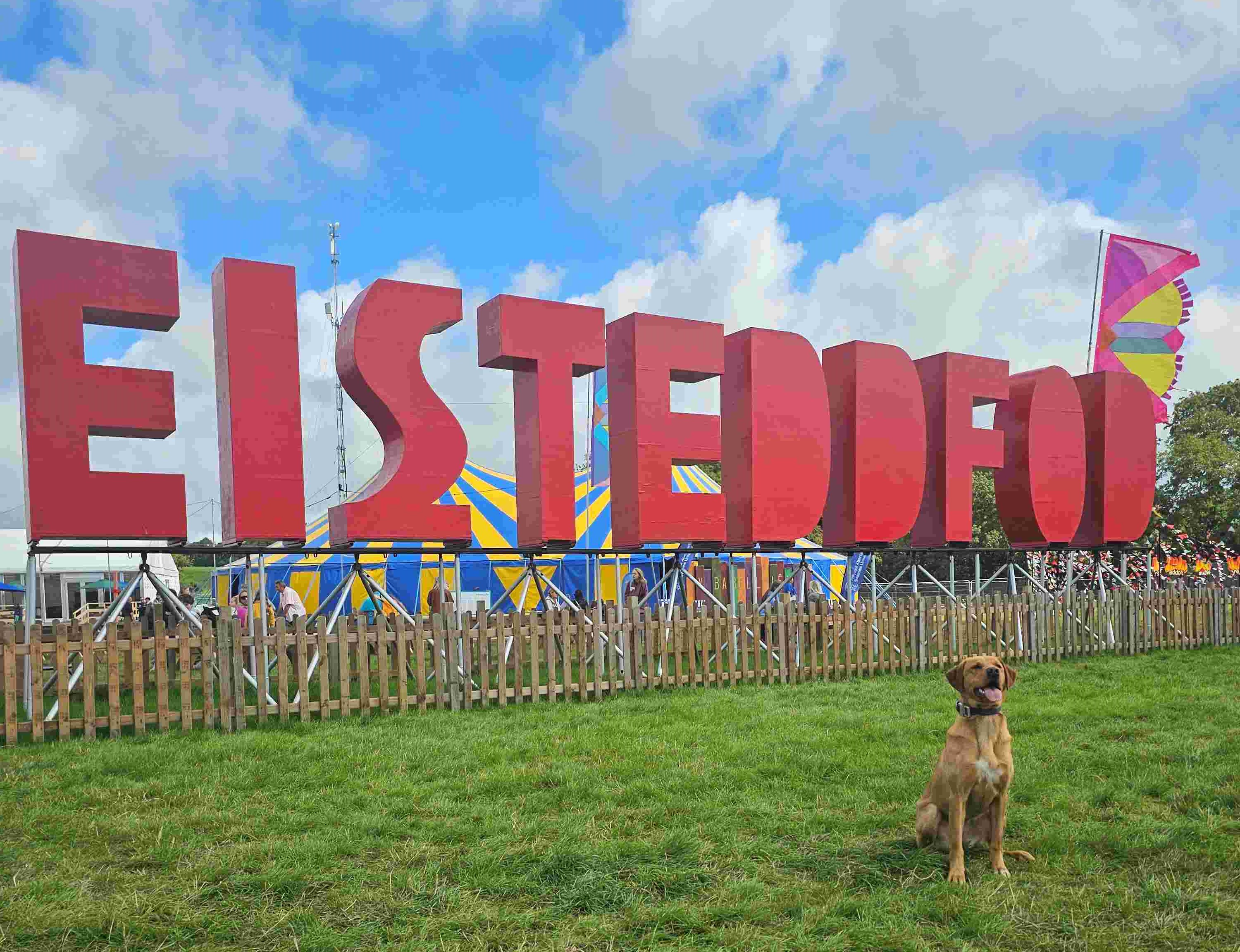 Visit us at the National Eisteddfod in Wrexham