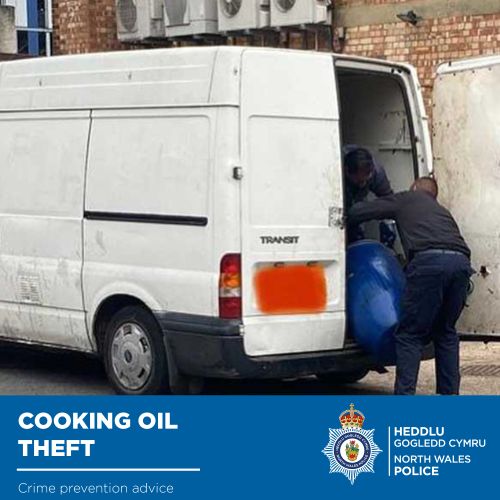 cooking oil theft