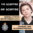 Operation Sceptre: North Wales joins national week of action against knife crime