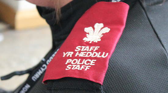 Photograph of epaulettes