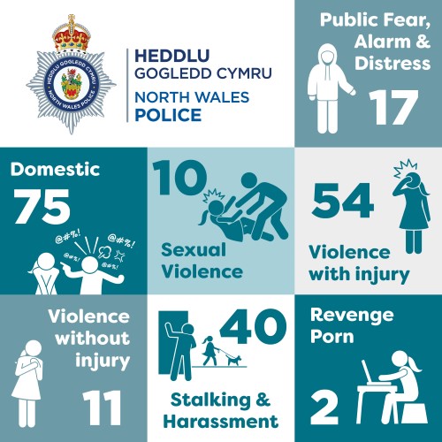 VAWG positive outcomes