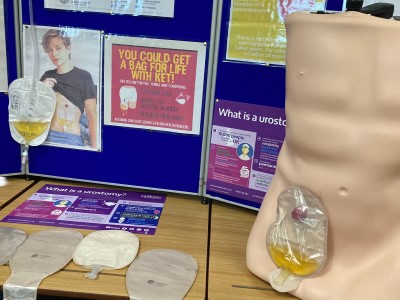 Stoma bag display