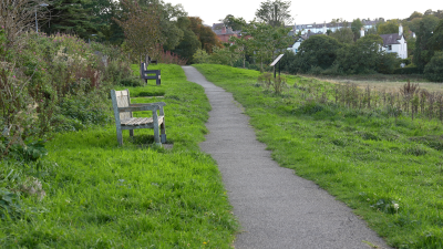bench on field