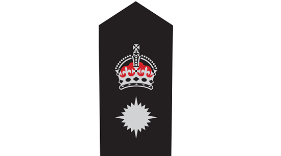 Pennaeth OPAL - Prif Uwch-Arolygydd