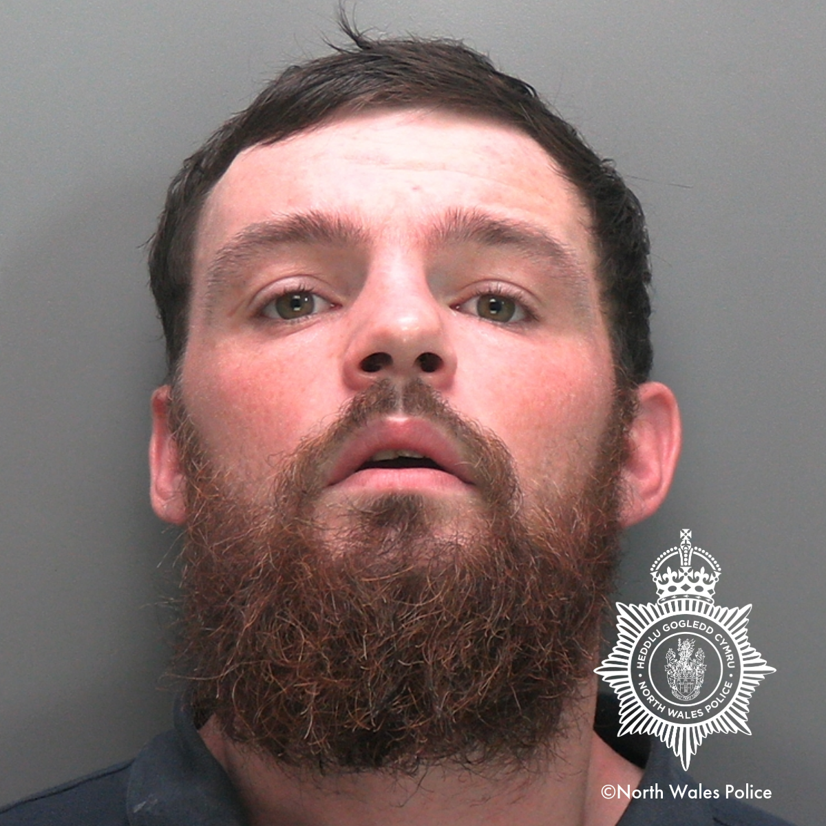 Custody image of Matthew Ridyard. Photo: North Wales Police