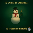 Heddlu Gogledd Cymru yn lansio ymgyrch "12 trosedd y Nadolig" i gadw cymunedau'n saff dros hwyl yr ŵyl 