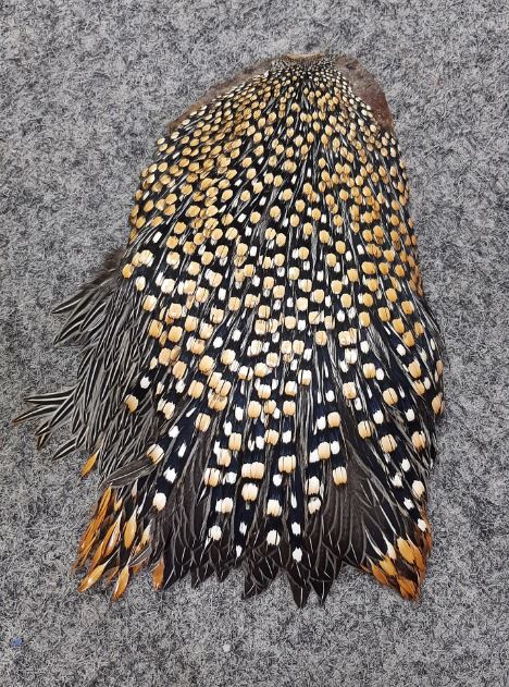 Jungle cape
