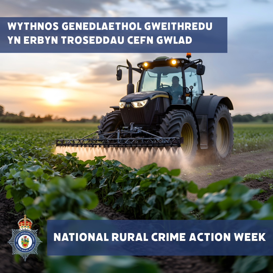 Wythnos Genedlaethol Gweithredu Yn Erbyn Troseddau Cefn Gwlad: Cefnogi dioddefwyr yn ein cymunedau gwledig