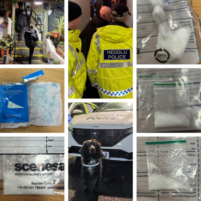 collage of photos from licensing visits